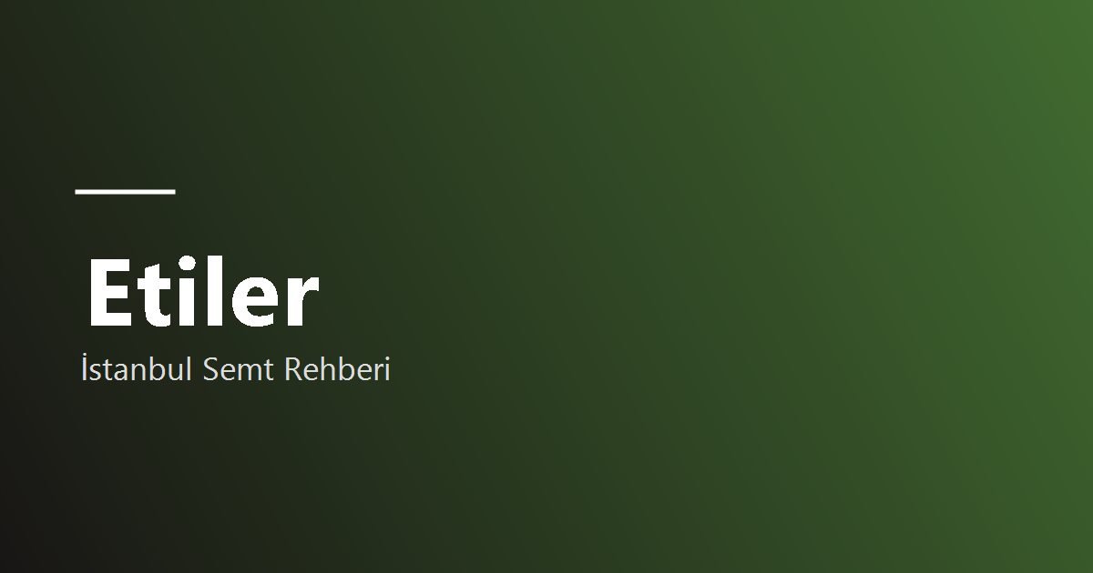 Etiler semti hakkında görsel