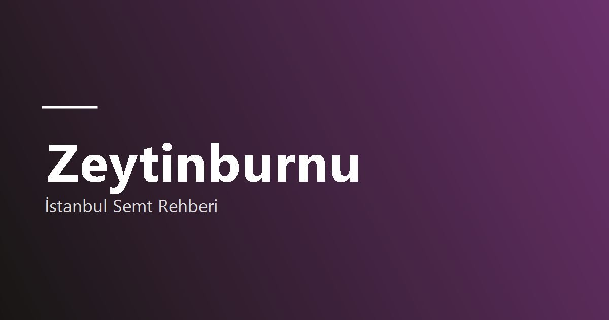Zeytinburnu semti hakkında görsel